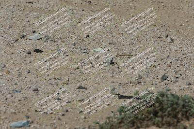 media/Oct-13-2025-Moto Forza (Mon) [[a66d839500]]/4-C Group/Session 3 (Turn 16)/